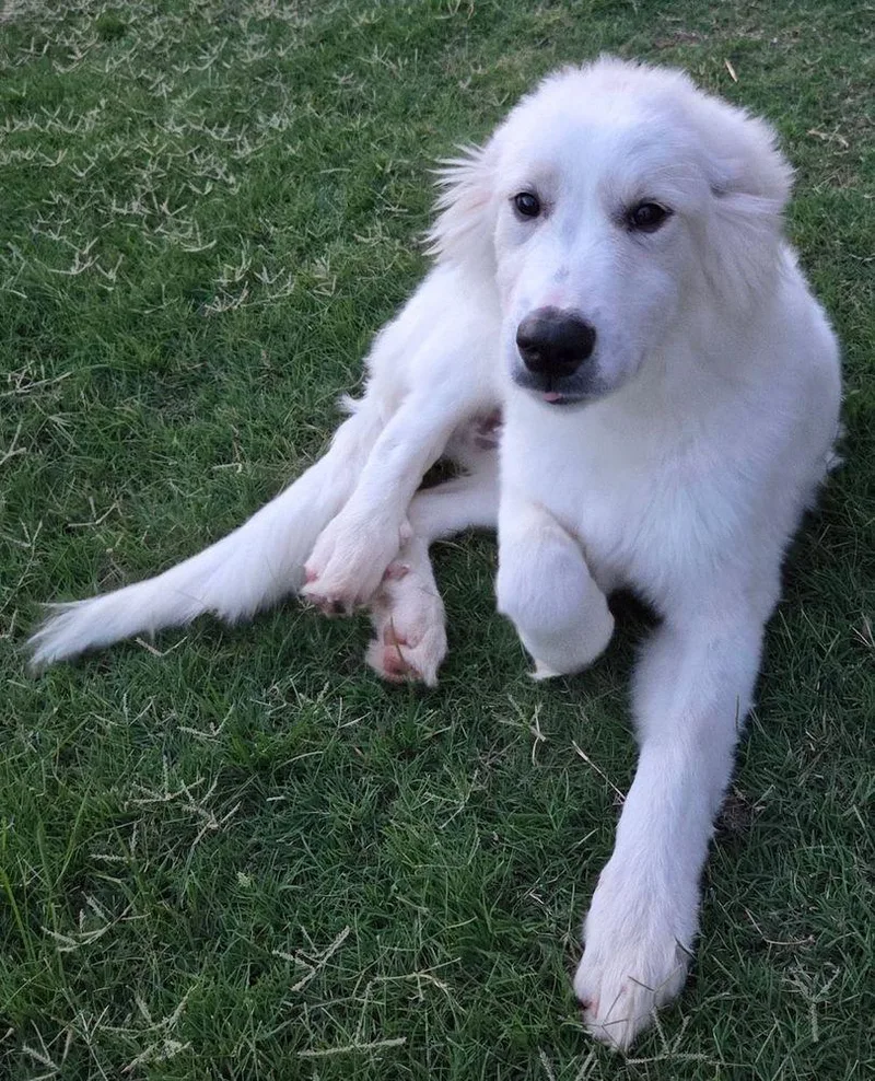 Chuck
