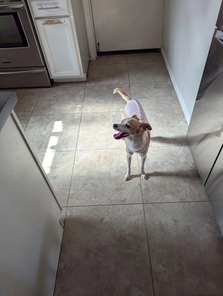Bailey thumbnail 2