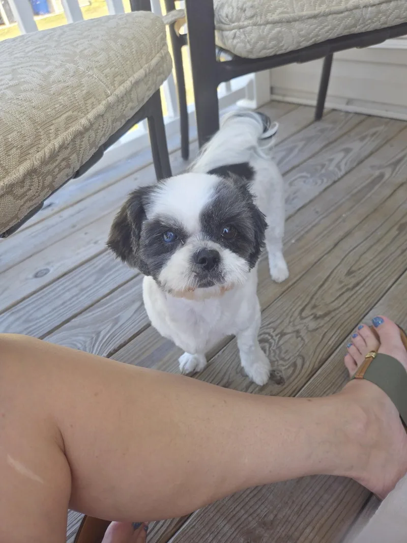 Sophia thumbnail 3