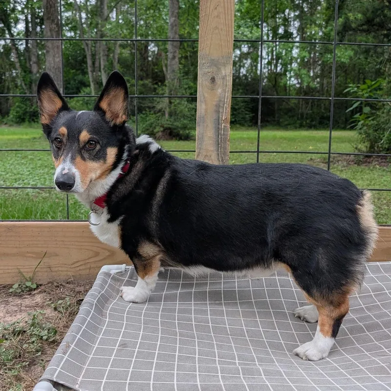 Milo