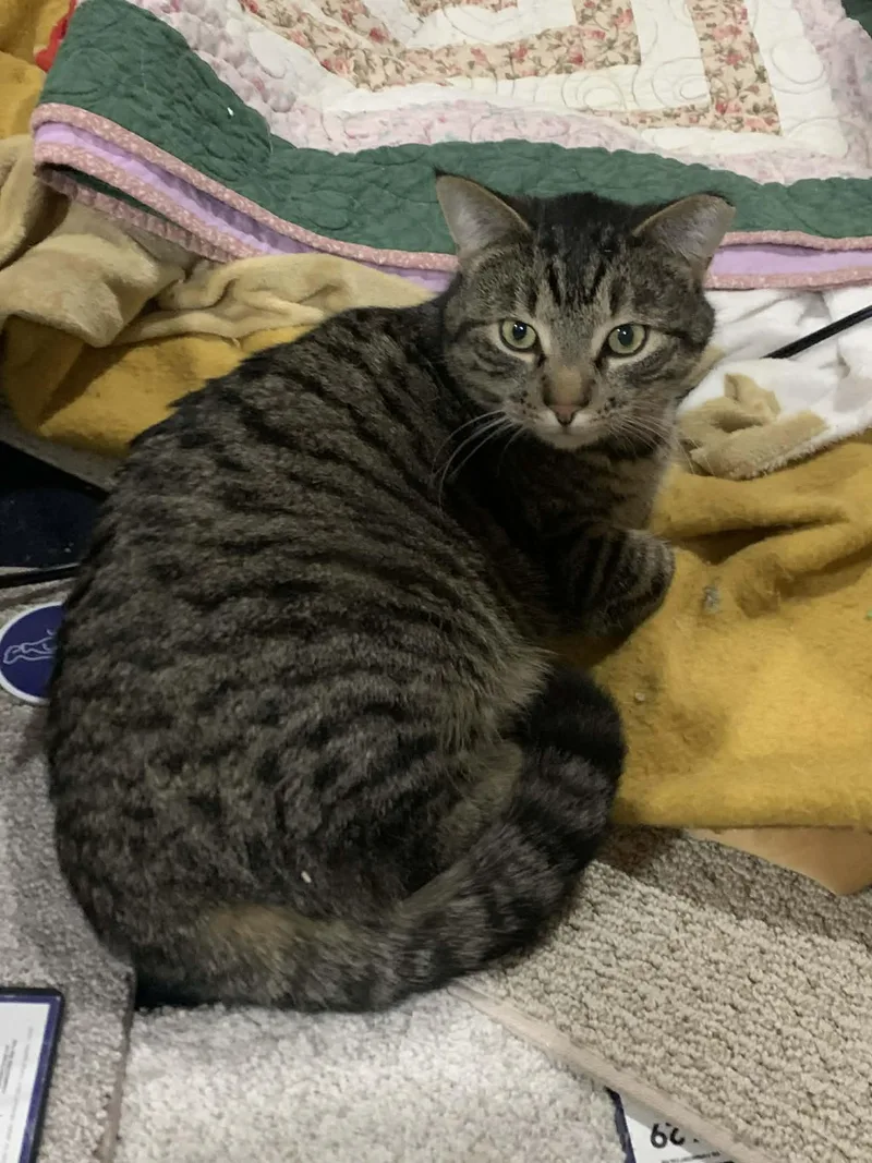 Christopher thumbnail 2