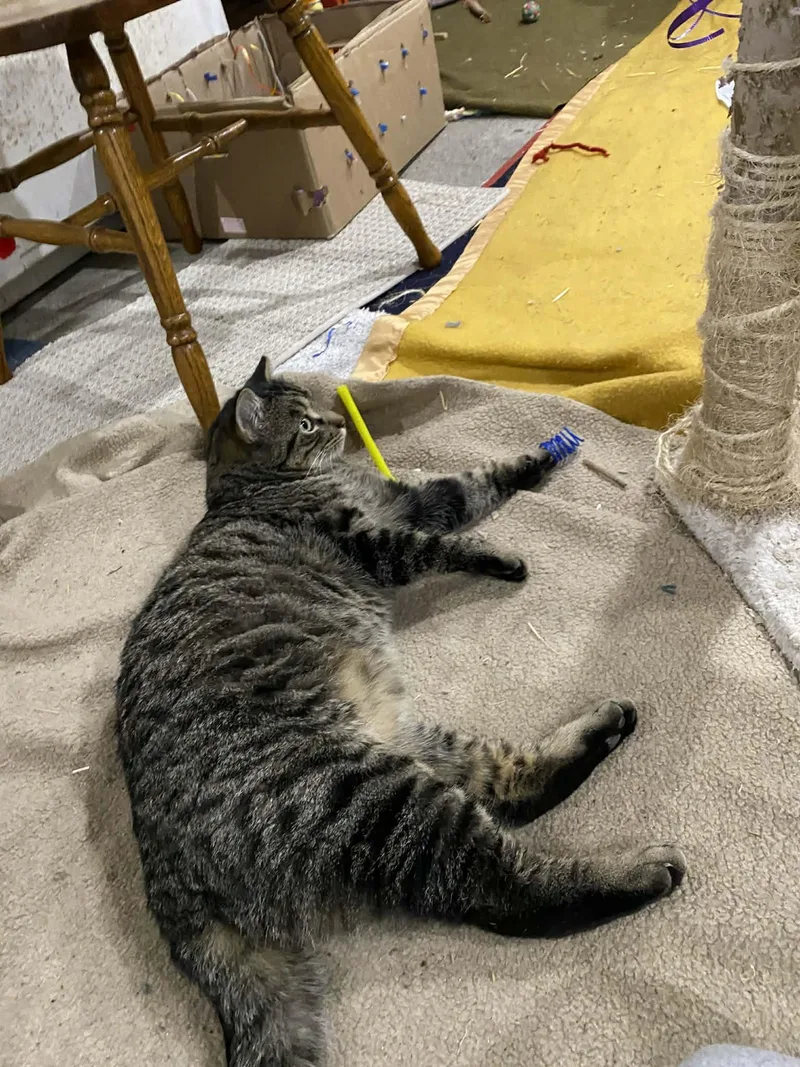 Christopher thumbnail 3