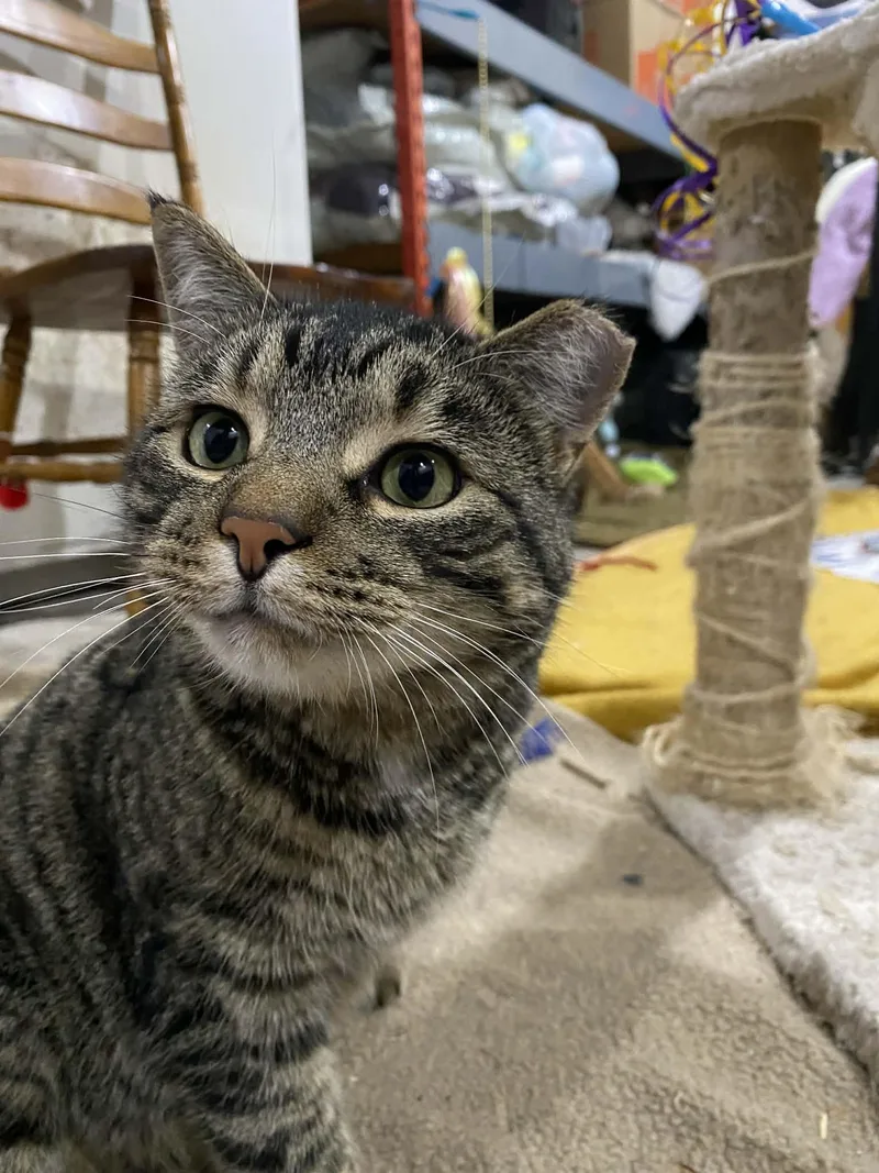 Christopher thumbnail 4