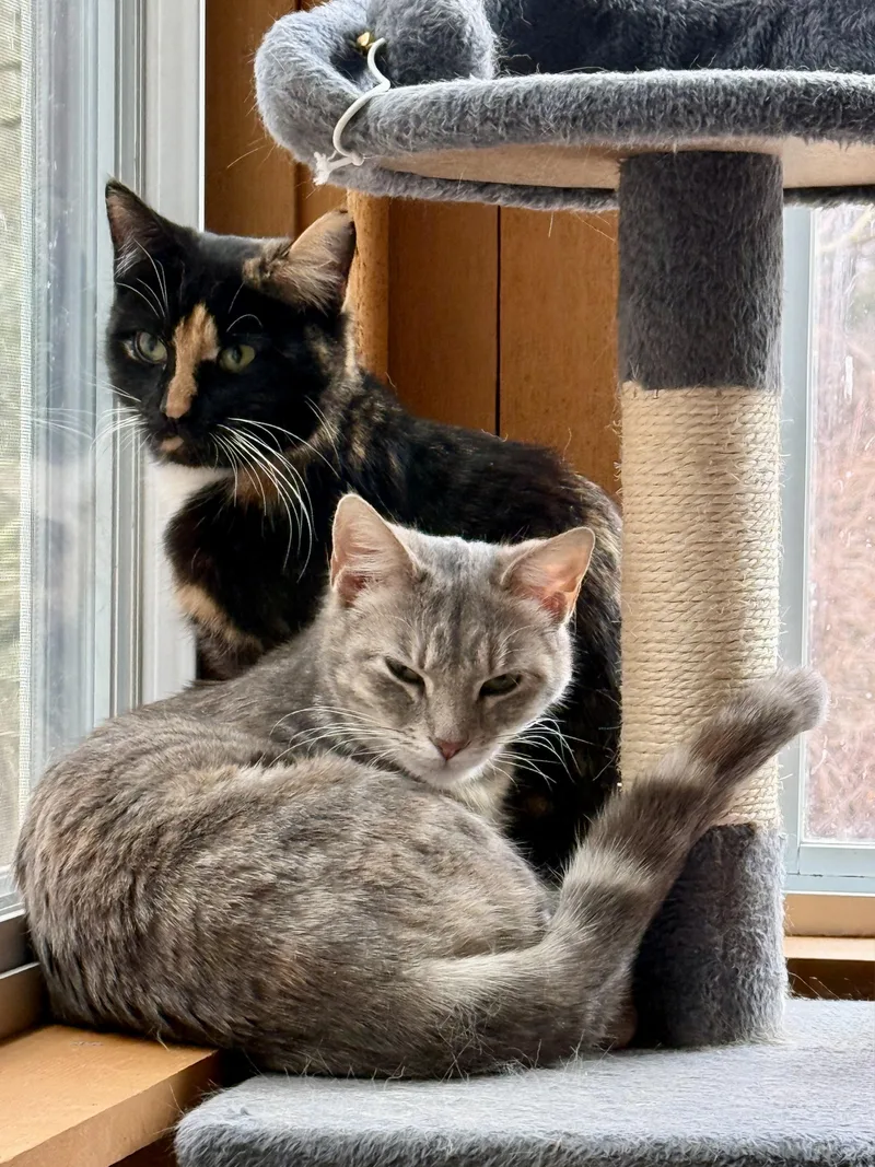 Delilah Aka Dally! thumbnail 2