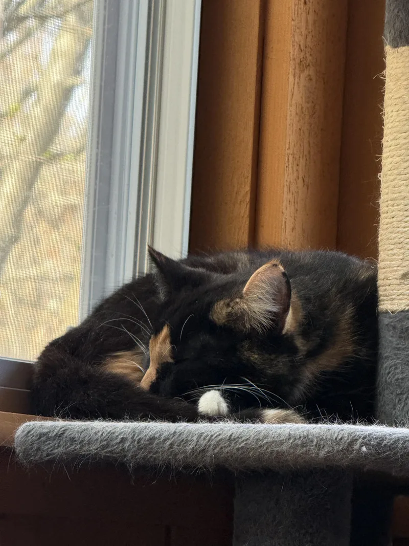 Delilah Aka Dally! thumbnail 3