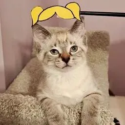 Clara