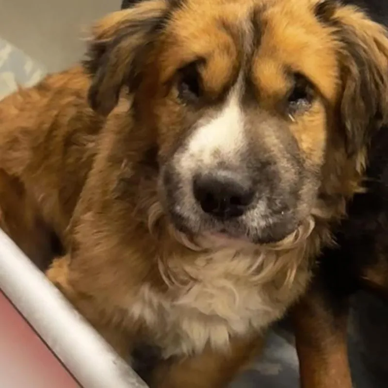 Waffle House thumbnail 2