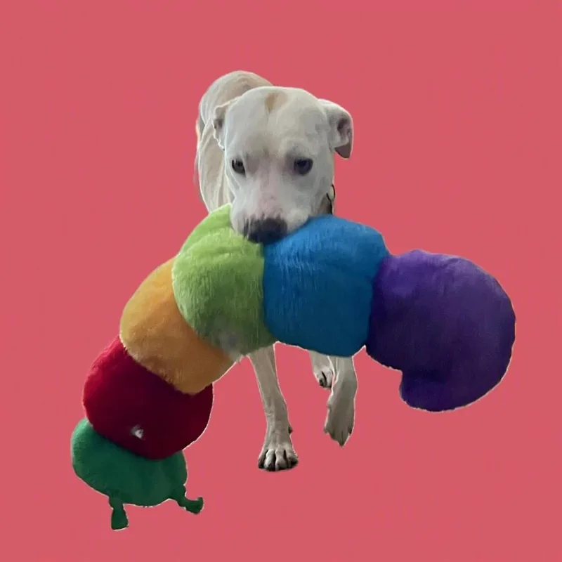 Penelope thumbnail 5