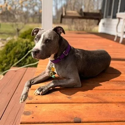 Daisy Mae thumbnail 2