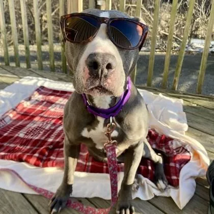 Daisy Mae thumbnail 6
