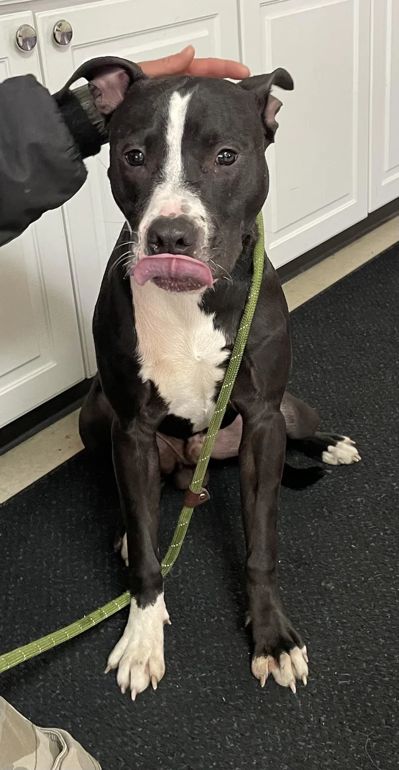 Lucas Hold thumbnail 2