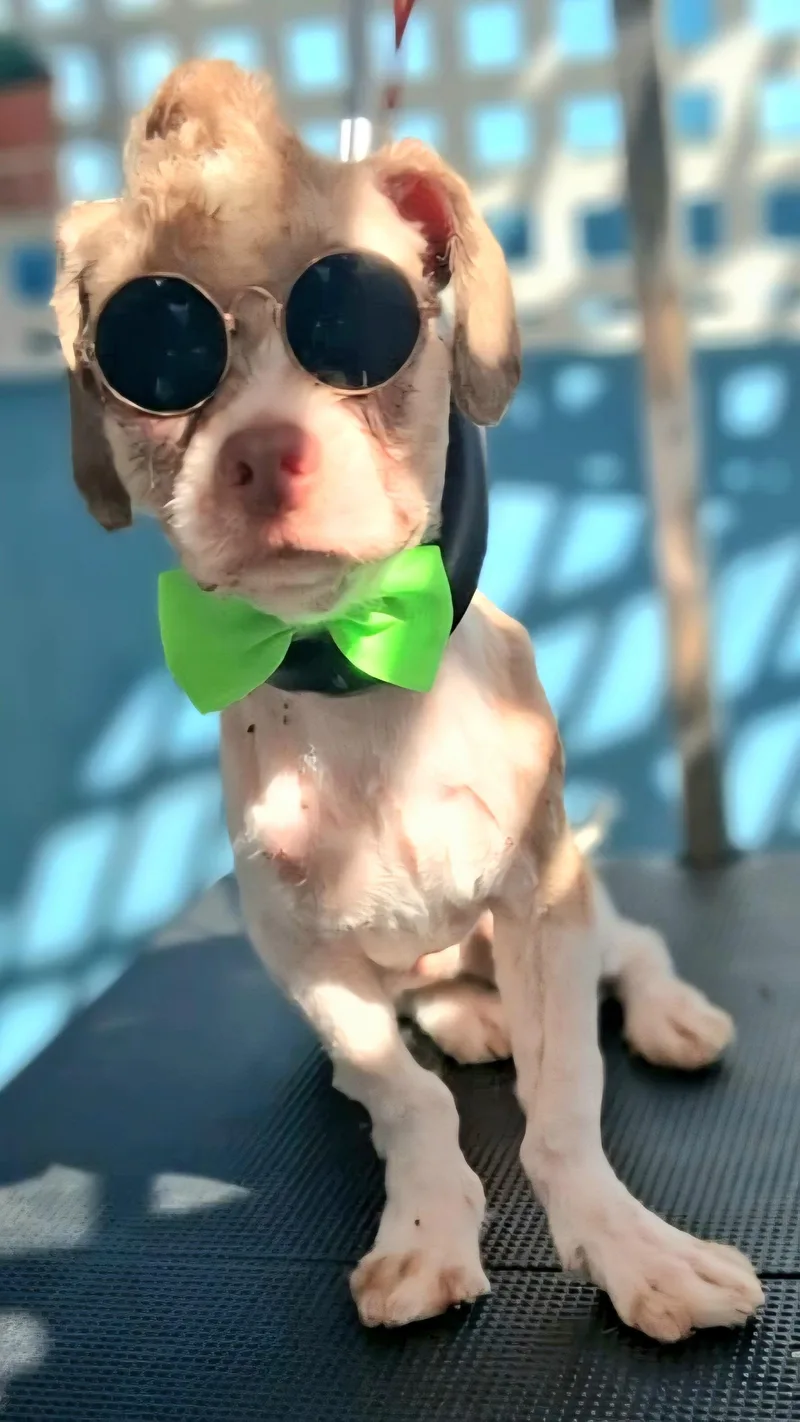 Keko "kiss & Hug thumbnail 2