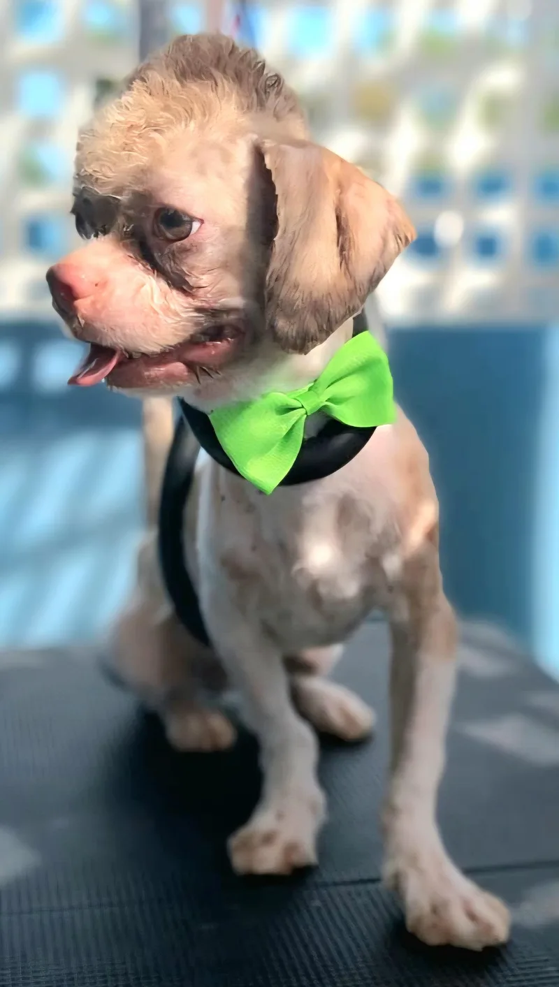 Keko "kiss & Hug thumbnail 3