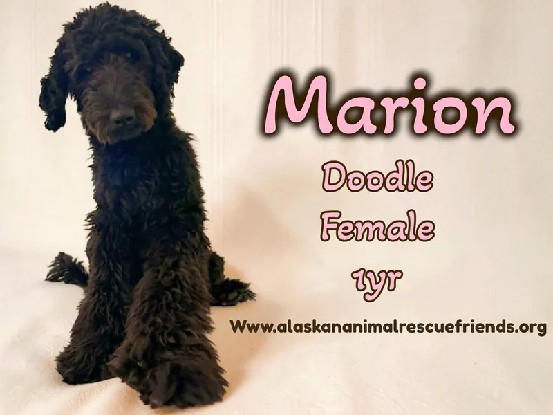 Marion