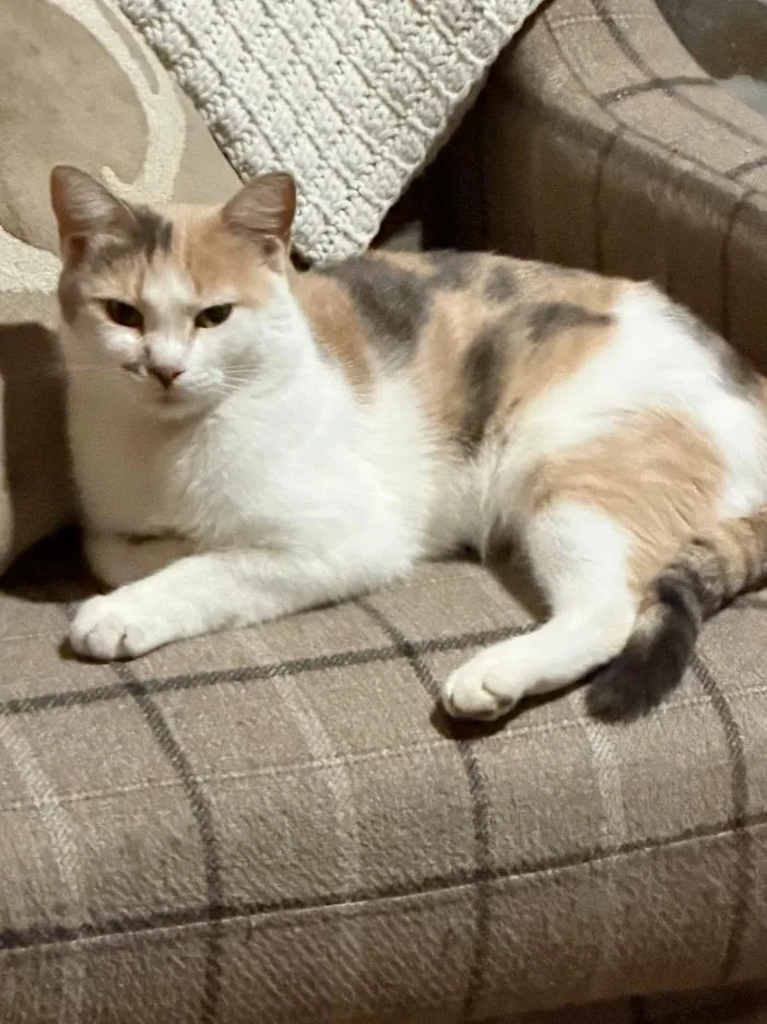 Olivia thumbnail 2