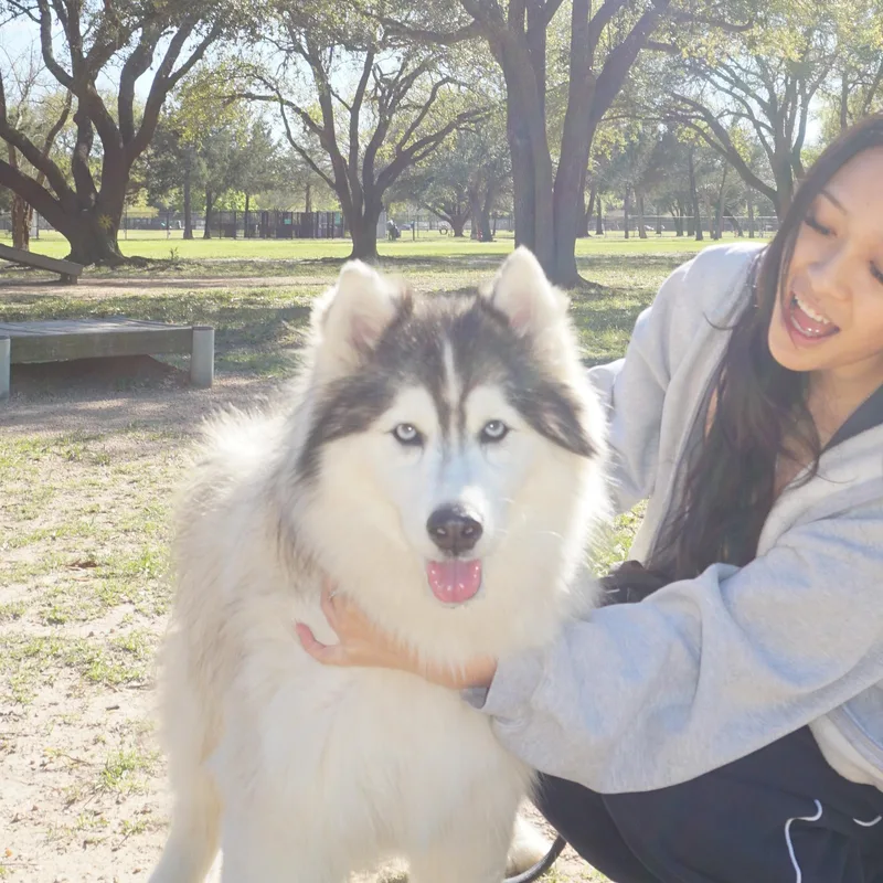 Lucy Liu thumbnail 3