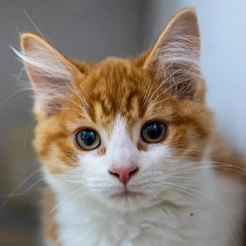 Pot Of Gold thumbnail 2