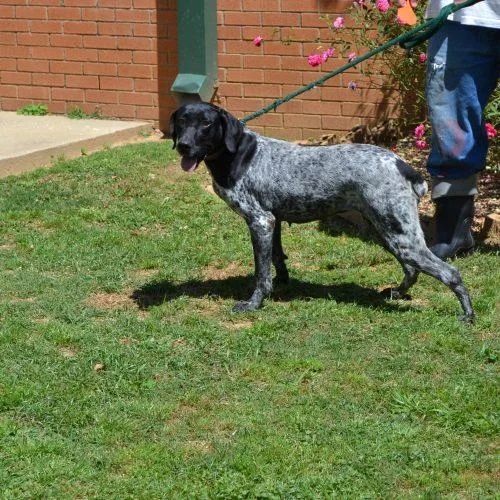 Megan Sparkle thumbnail 2