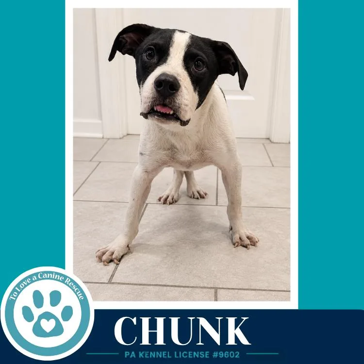 Chunk