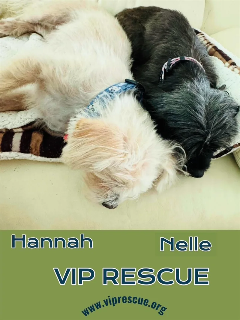 Hannah and Nelle