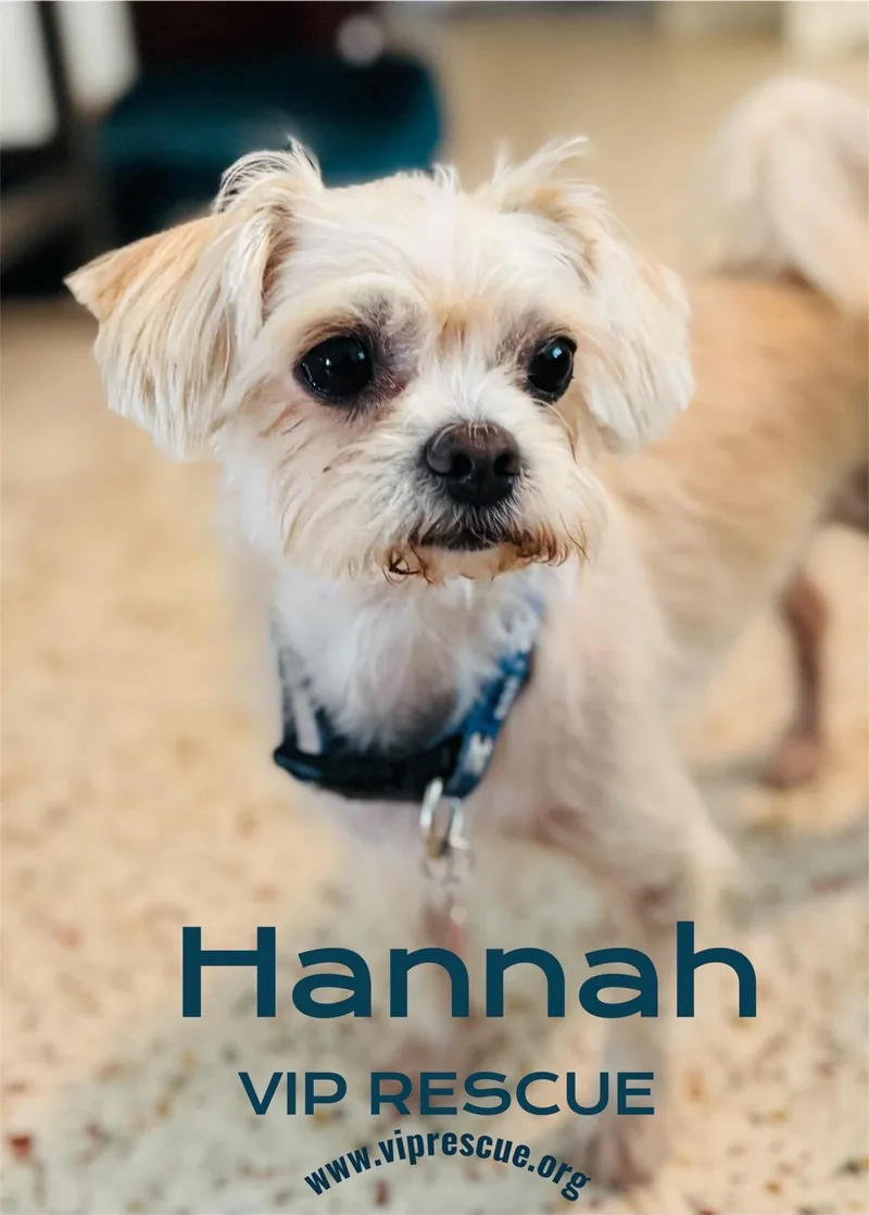 Hannah and Nelle  thumbnail 2