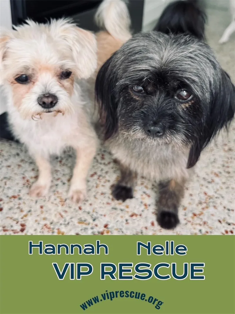 Hannah and Nelle  thumbnail 5