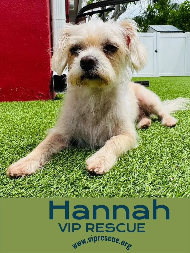 Hannah and Nelle  thumbnail 6