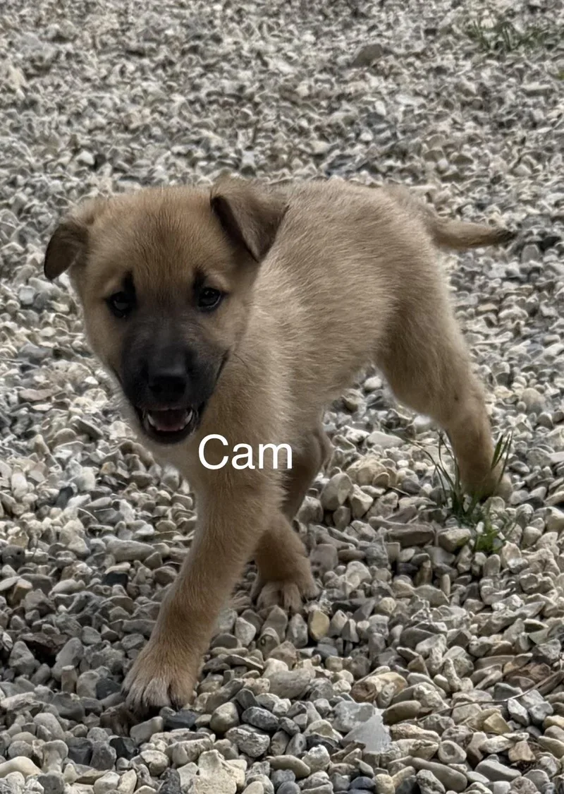 Cam thumbnail 3
