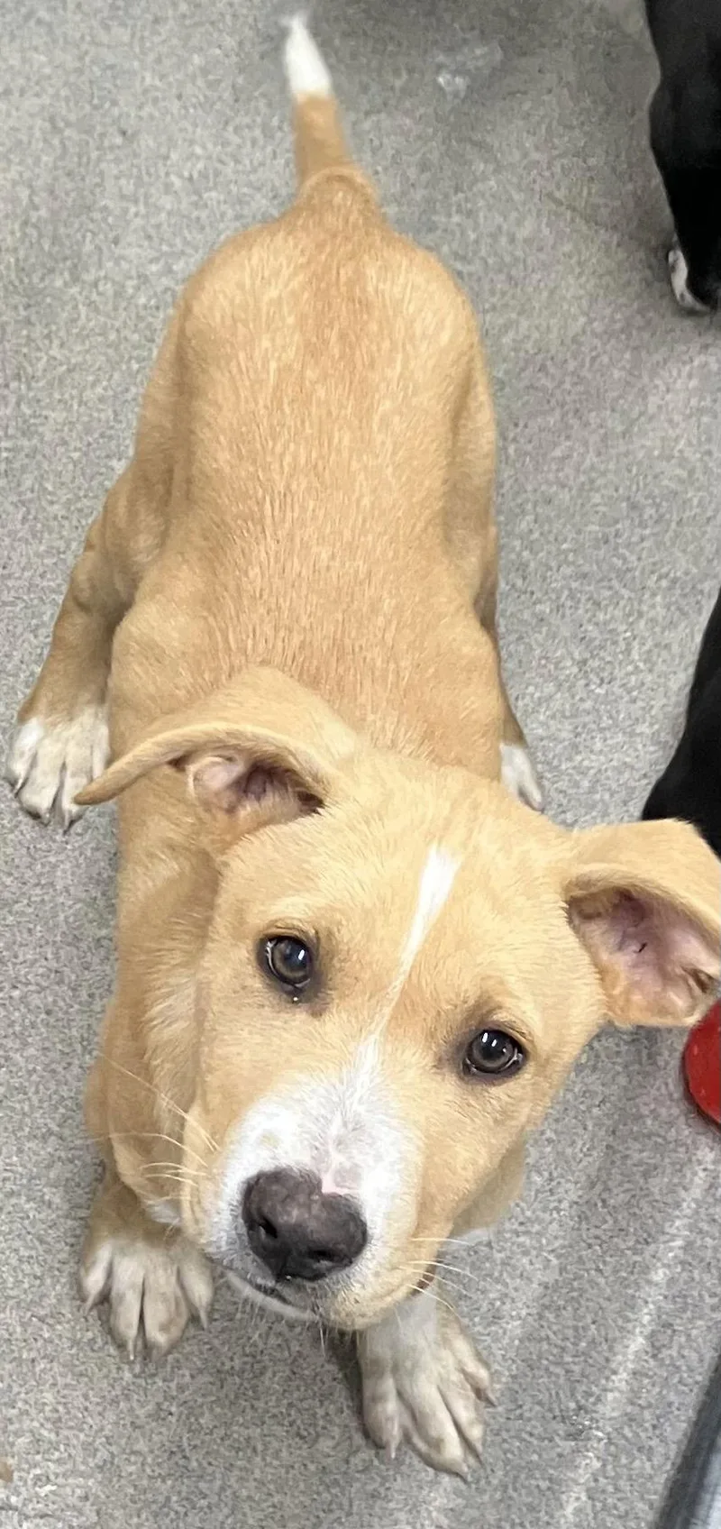 Freckles  Months Male