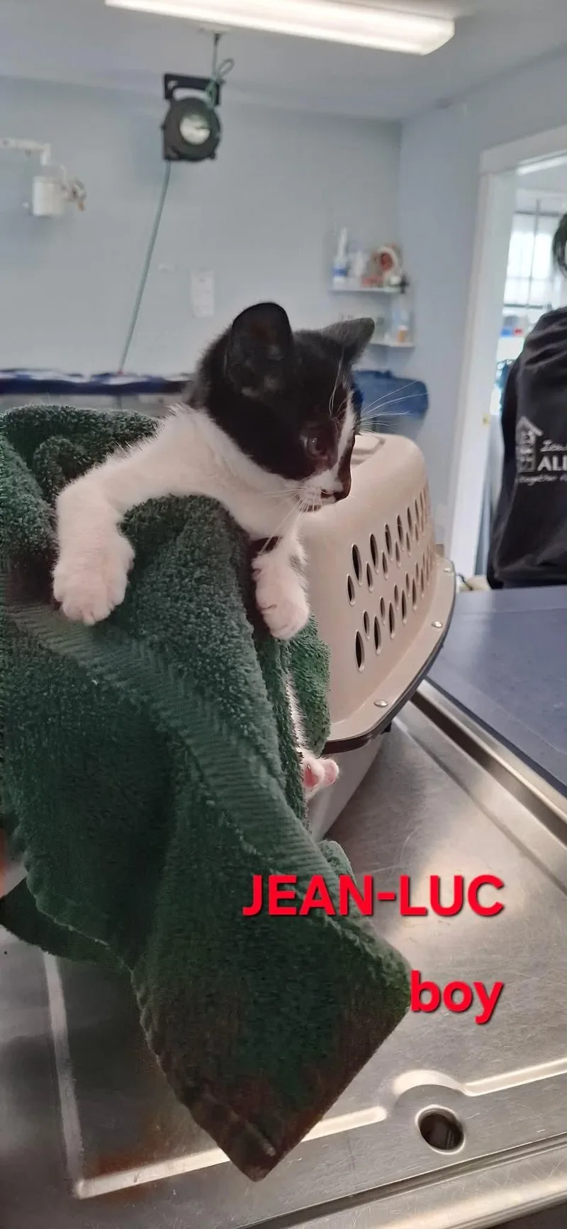 Jean Luc