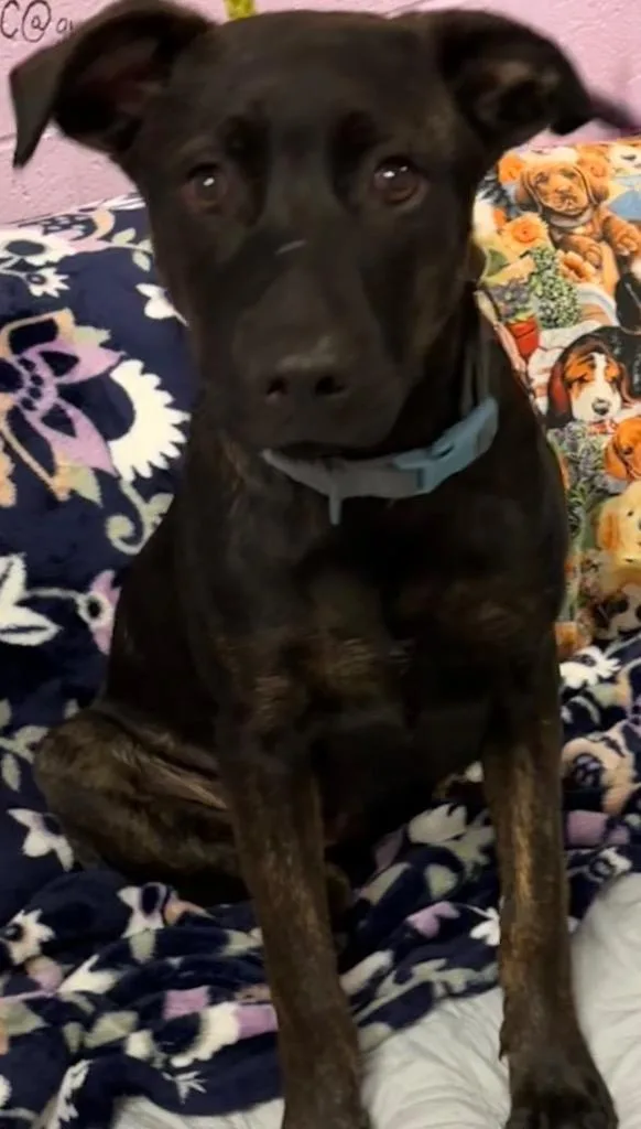 Kaiser
