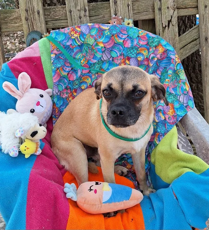 Valente Mvt thumbnail 4