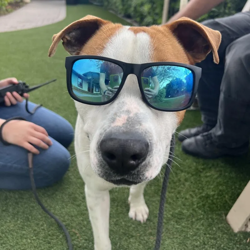 Big Pete thumbnail 2