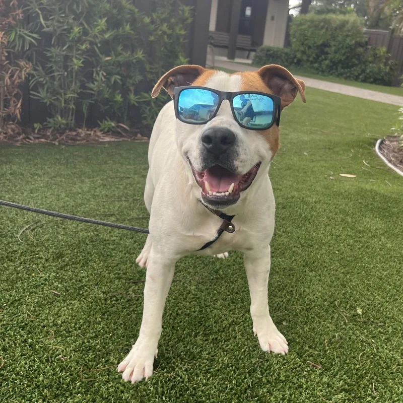 Big Pete thumbnail 3