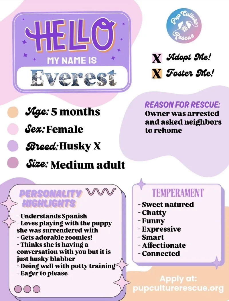 Everest thumbnail 6