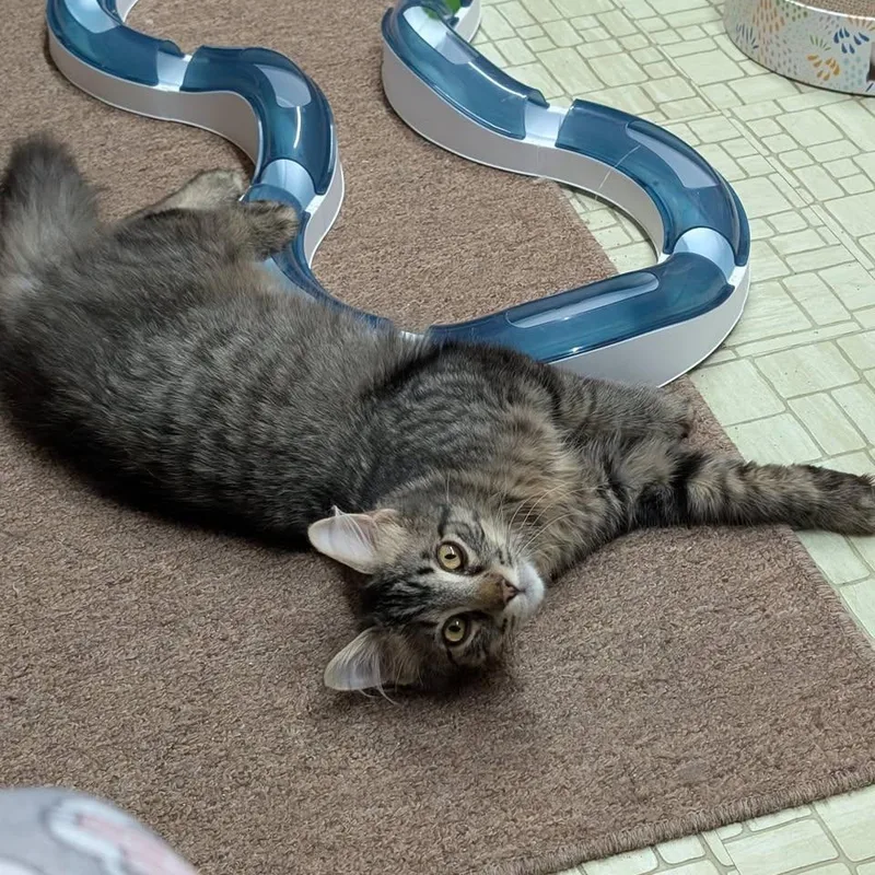 Bruno & Mirabel thumbnail 2