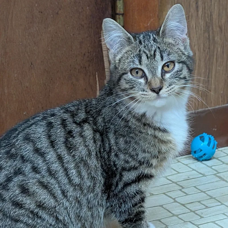 Bruno & Mirabel thumbnail 3