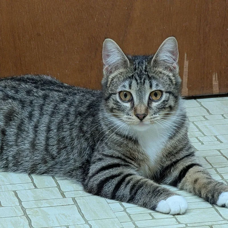 Bruno & Mirabel thumbnail 4