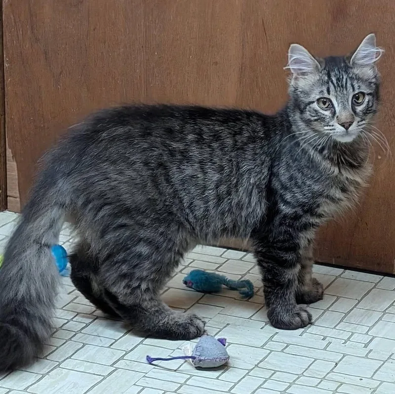 Bruno & Mirabel thumbnail 5