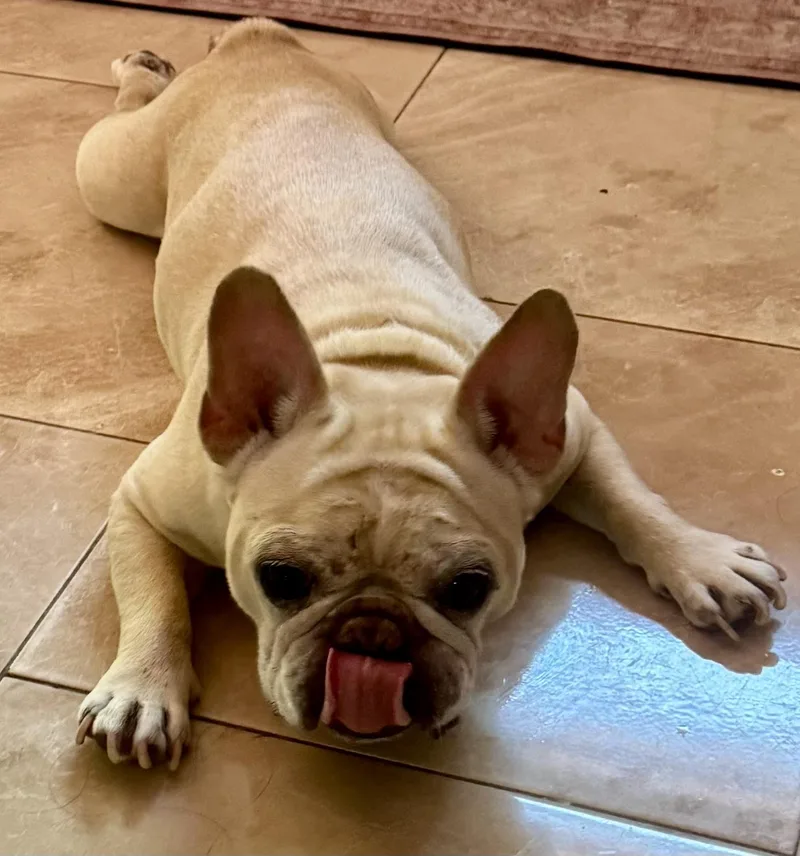 Marlo