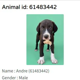 Andre