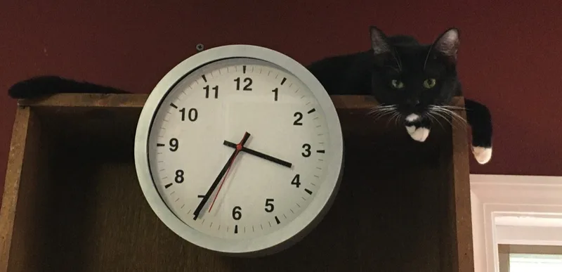 Jacketty Jack thumbnail 5