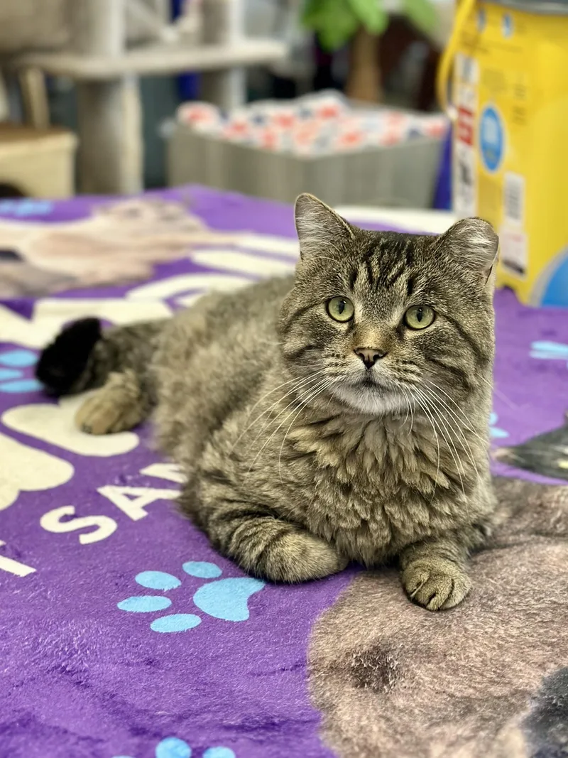 Jefferson thumbnail 5