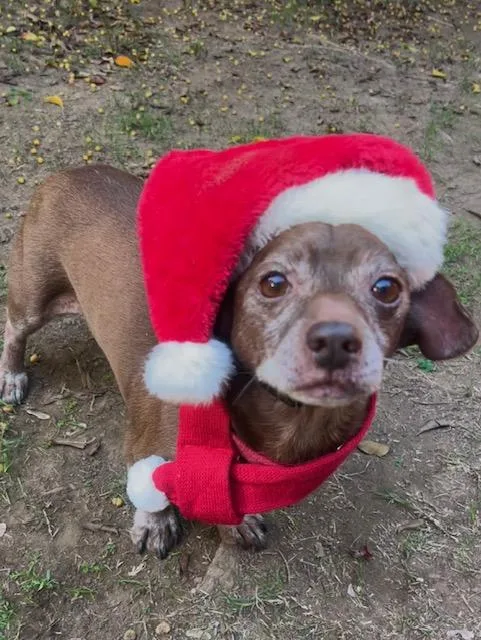 Hershey thumbnail 2
