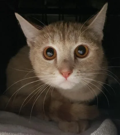 Belgrade thumbnail 2