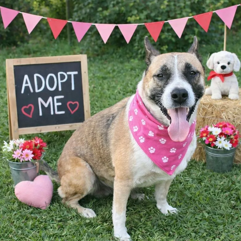 Faith Gs thumbnail 3