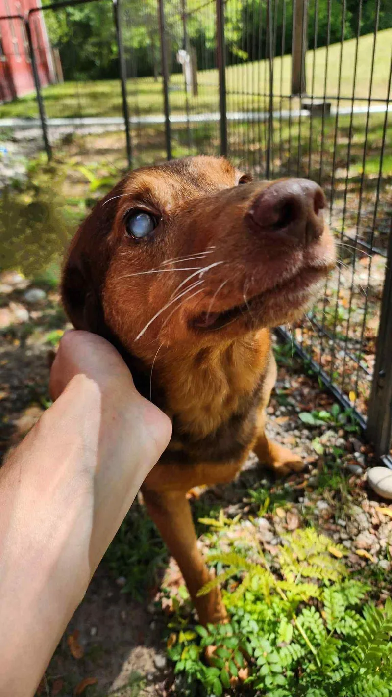 Hobbs bonded with son