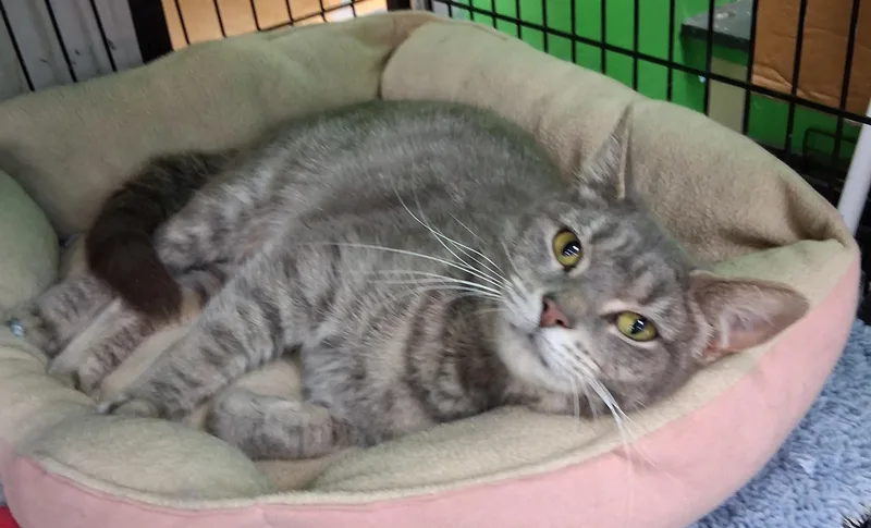 Happy Girl thumbnail 2