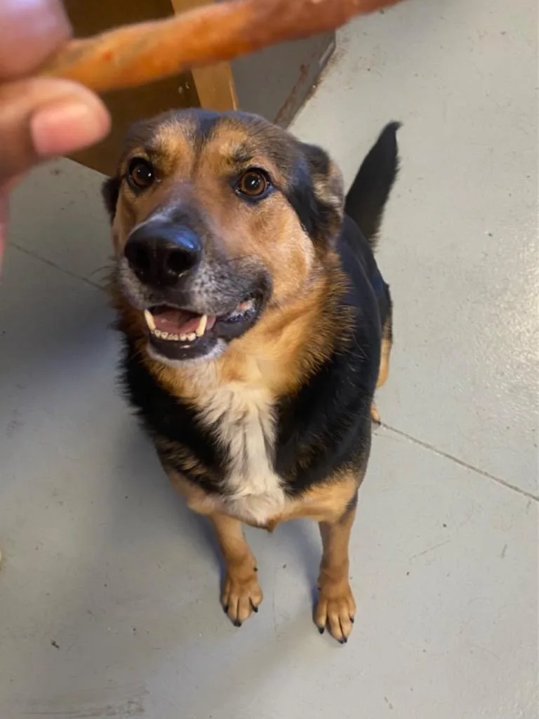 Tootsie Roll thumbnail 2