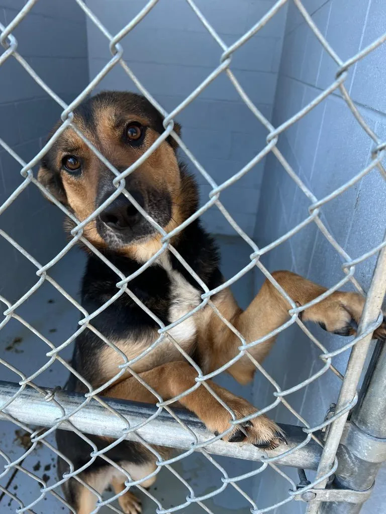 Tootsie Roll thumbnail 3